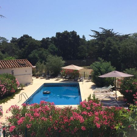 Chambre D'Hotes Villa Cote Vermeille 滨海阿热莱斯 外观 照片