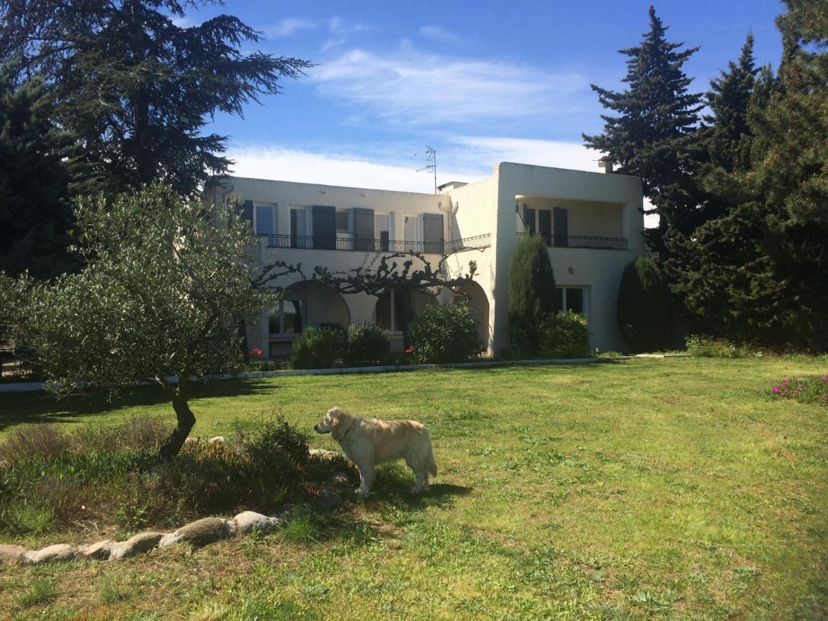 Chambre D'Hotes Villa Cote Vermeille 滨海阿热莱斯 外观 照片