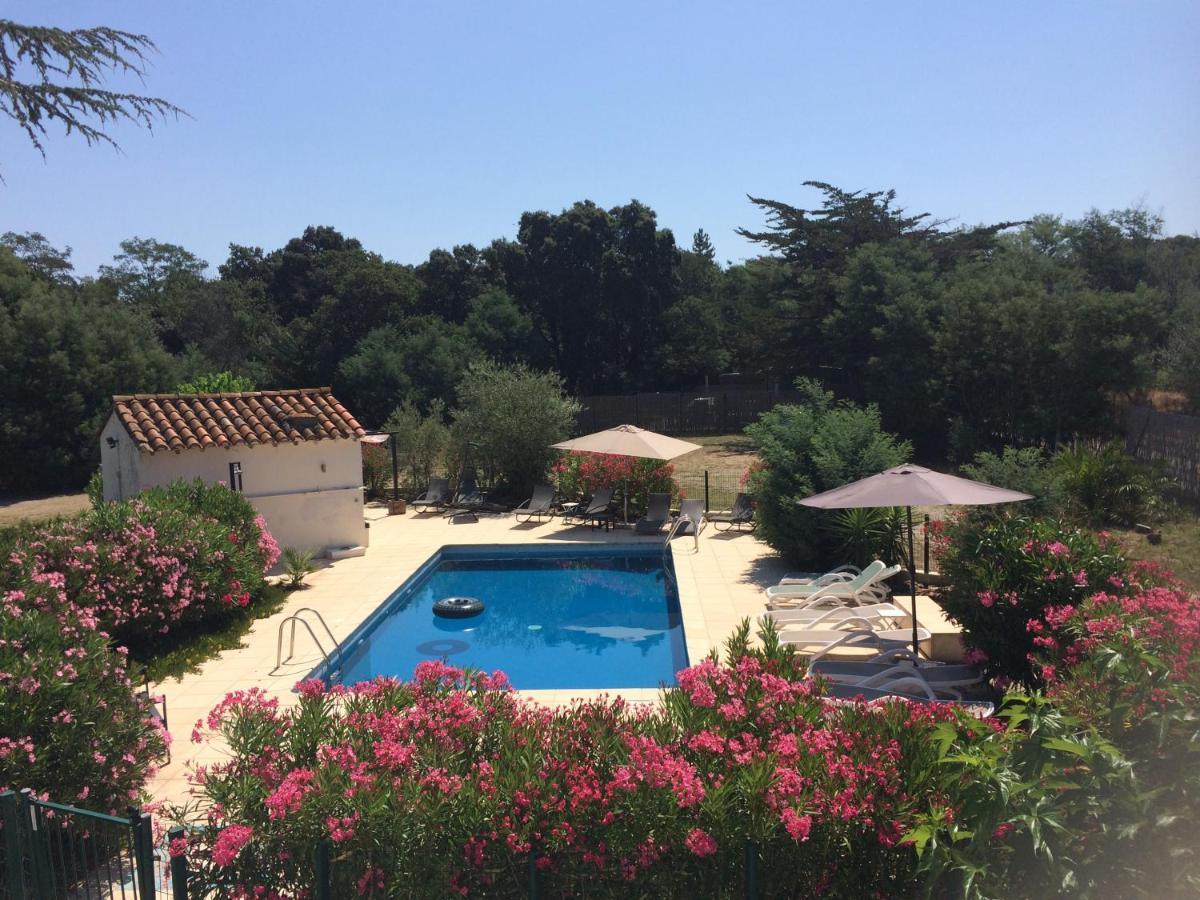 Chambre D'Hotes Villa Cote Vermeille 滨海阿热莱斯 外观 照片
