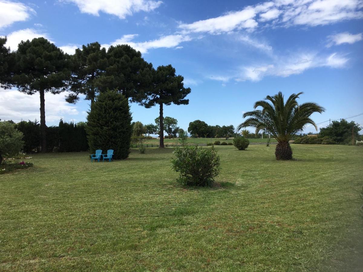 Chambre D'Hotes Villa Cote Vermeille 滨海阿热莱斯 外观 照片